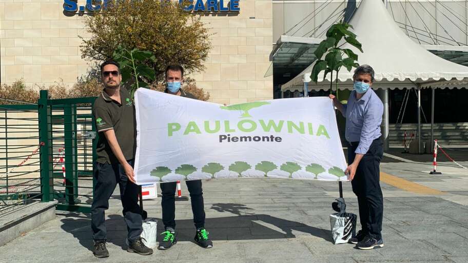 ALBERI DI PAULOWNIA ALL’OSPEDALE DI CUNEO PER RINGRAZIARE I MEDICI E PER L’AMBIENTE