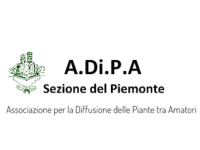 ADIPA PIemonte