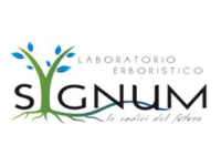 Sygnum Lab partner Paulownia Piemonte